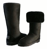 UGG Long boots